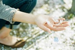 ���������Ĳ�������Щ